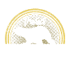 Sea lion sea creatures