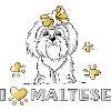 Fille maltais