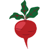 beetroot