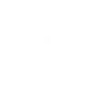 aigle usa américain