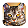 Chat