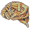 Artistic Brain