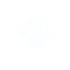 Helicopter Dog Mama