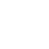 Leo Regular Zodiac sign