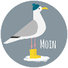 Möwe Winteroutfit