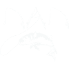The fisherman dad