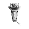 Western Pferd mit Cowboyhut