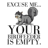 squirrel