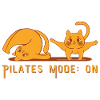 I GATTI PILATES. Pilates Fashion: ON