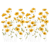 Gänseblümchen,Blumenwiese, Garten