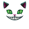 Crazy Cat Lady