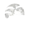 Marmot In the Full Moon