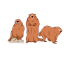 Murmures murmures