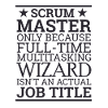 "Scrum Wizard" | "Scrum Master"