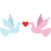 Pigeons Love