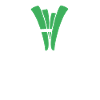 leek