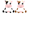 Cow - Baby - Calf - Kids