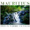 Mauritius This is where I'm from Forest waterfall