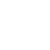 Bird Eagle Birds Fly