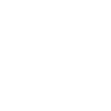 Bird Eagle Birds Fly