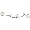 Edelweiss