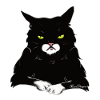 The motzige cat knows surrounded