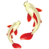 Kois