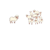 Ein Schaf viele Schafe