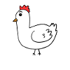 Rooster Chicken