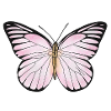 Papillon, rose