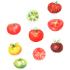 Tomato Pasta Italia Cook