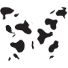 Cow butterfly