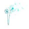 Pustflower Birds Bird Dandelion Gift