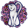 Flower Daisy Cat