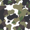 Military camouflage