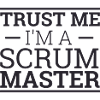 « Trust Me « | » « Scrum Master »
