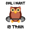 Owl Training Fitness Eule
