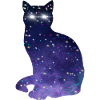 Kosmische Katze