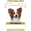 Papillon Hund - Papillon