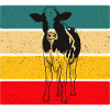 Kuh