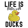 duck