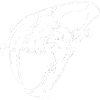 saber-toothed tiger
