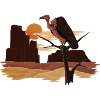 Vultures in a desert