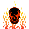Skull in Flames Design