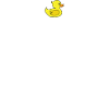 Rubber duck squeaky duck