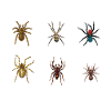 Espèces d’araignées, araignées