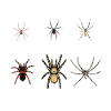 Espèces d’araignées, araignées