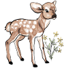 Faon - bébé biche en aquarelle