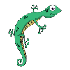 lizard