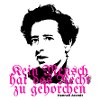Hannah Arendt Fracture Pink